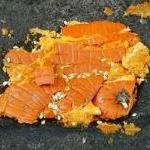 Smashed Pumpkin