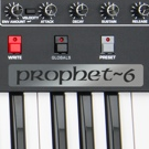 Prophet6