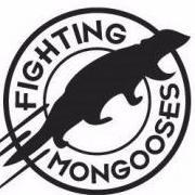 Fighting Mongooses