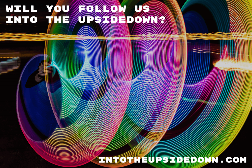upsidedown festival follow us.png