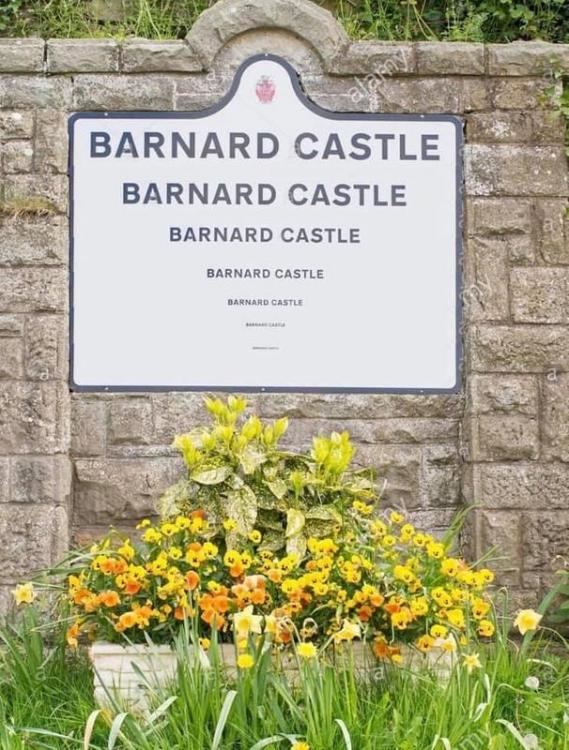 Barnard-Castle.jpg