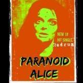 Paranoid Alice