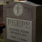Joey Peeps