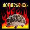 hothedgehog