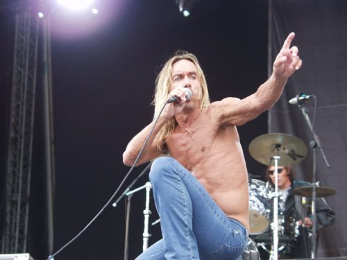 Iggy & the Stooges