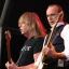 Status Quo announce forest show