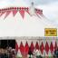 Ceilidh Tent line-up announced for T in the Park