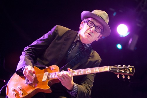 Elvis Costello and The Imposters @ Westport Festival of Music and Food 2013