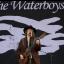 The Waterboys to headline WeyFest