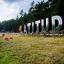 Latitude unleashes comedy line-up