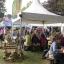 Sidmouth Folk Week engenders a feeling of well being and contentment