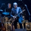Elvis Costello announced to headline Nocturne live at Blenheim Palace