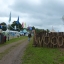 Wood offers re-wilding for kids and grown ups too