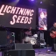 Lightning Seeds, Sophie Ellis-Bextor, & more for Watchet Live Festival 2019