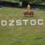 Nozstock 2017