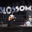 Blossoms @ Stockport County FC 2019
