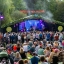 Moseley Folk & Arts Festival 2024