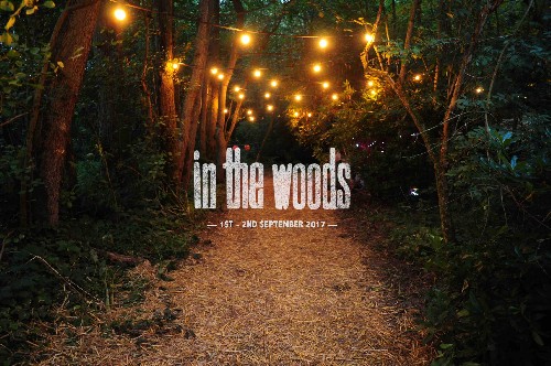 In The Woods Festival publicity shot